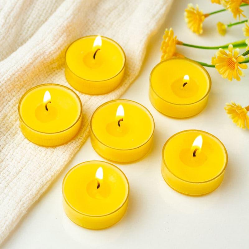 Buy Milo Honey Suckle & Indiflower Scented Tealight Candle - Set Of Twelve Candles from Vaaree