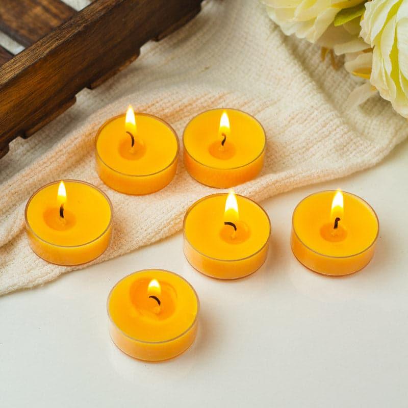 Buy Milo Spanish Guwaicwood & Lily Scented Tealight Candle - Set Of Twelve Candles from Vaaree