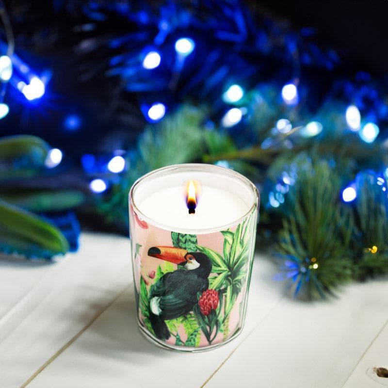 Buy Tropical Toucan Scented Candle Candles from Vaaree