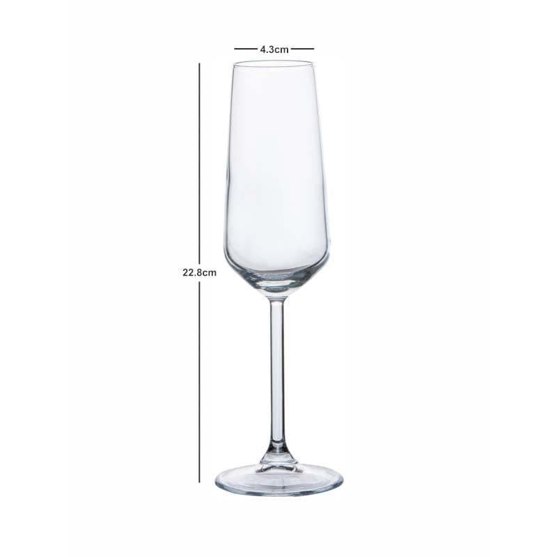 Wine & Champagne Glasses - Champiegne Glass (195 ML) - Set Of Six