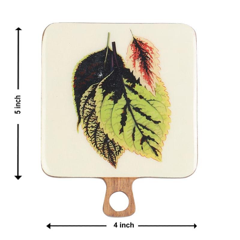 Coaster - Oribelle Mangowood Coaster - Set Of Four