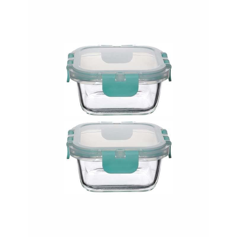 Buy Carino Lunchbox Rectangle (320 ML) - Set Of Two Container from Vaaree