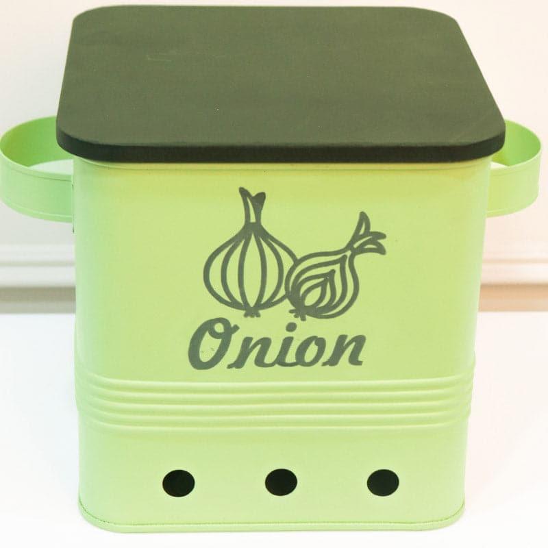 Buy Ferrous Fun Onion Storage Box (10000 ML) - Green Container from Vaaree