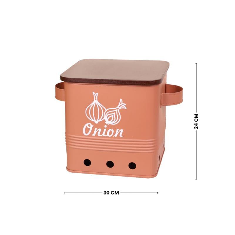 Buy Ferrous Fun Rectangle Onion Box Container from Vaaree