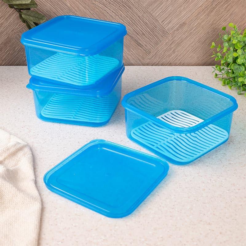 Buy Perto Container (500 ML) - Blue Container from Vaaree