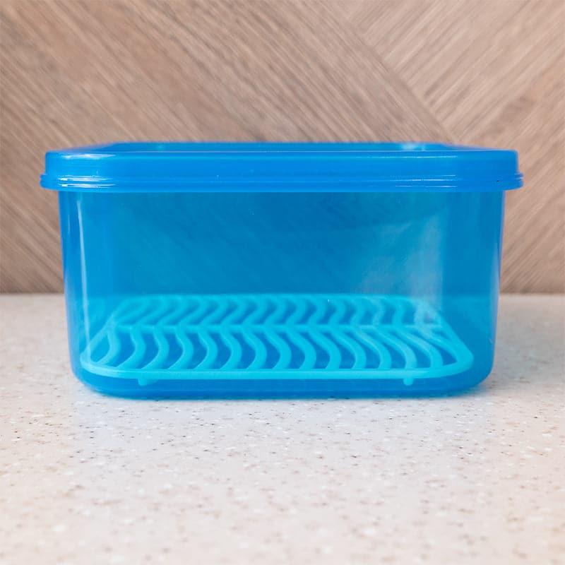 Buy Perto Container (500 ML) - Blue Container from Vaaree