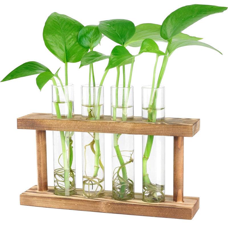 Buy Elden Test Tube Planter - Set Of Four Pots & Planters from Vaaree