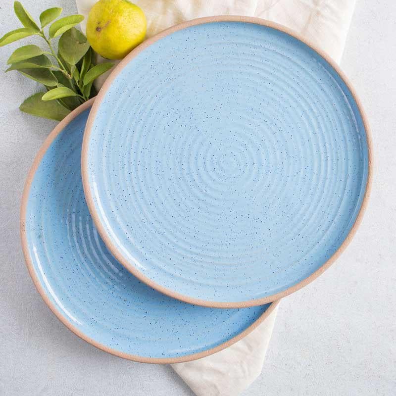 Buy Ocean Refinement Dinner Plates - Set Of Two Dinner Plate from Vaaree