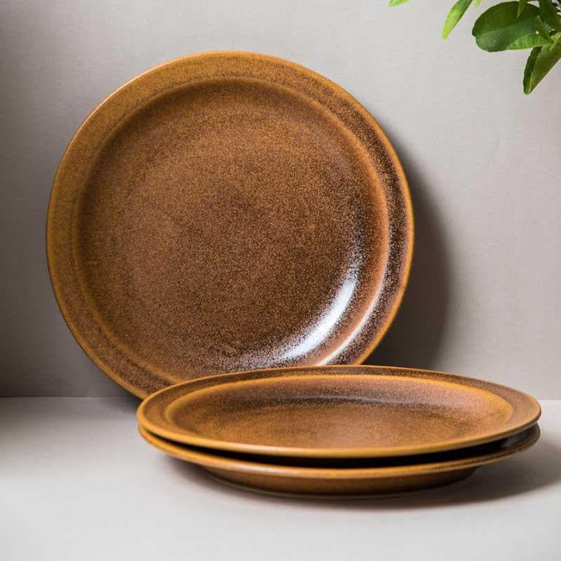 Buy Terra Tones Dinner Plates - Set Of Two Dinner Plate from Vaaree