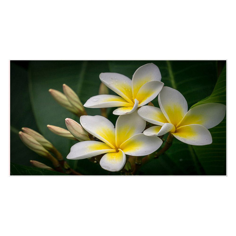 Buy Alsonia Wonder Floral Wall Painting Wall Art & Paintings from Vaaree