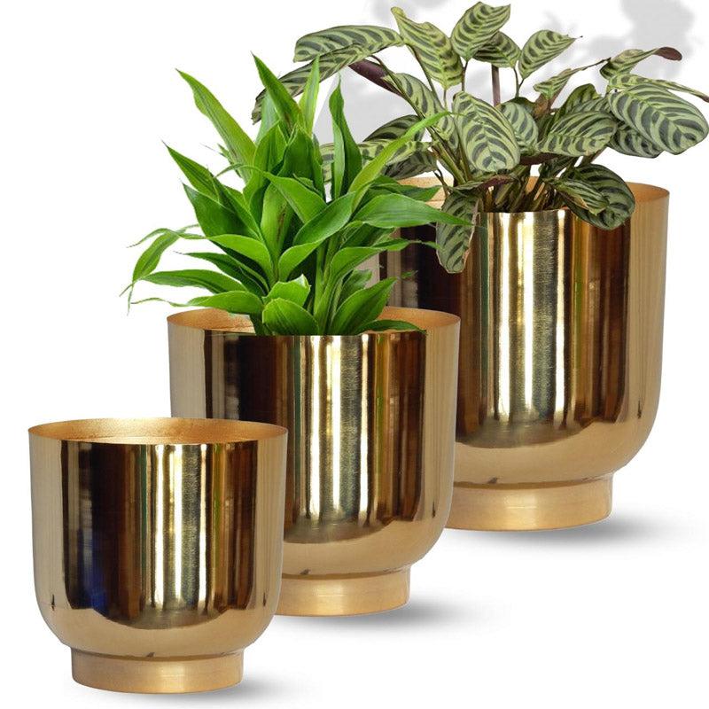 Buy Nishma Golden Planter - Set Of Three Pots & Planters from Vaaree