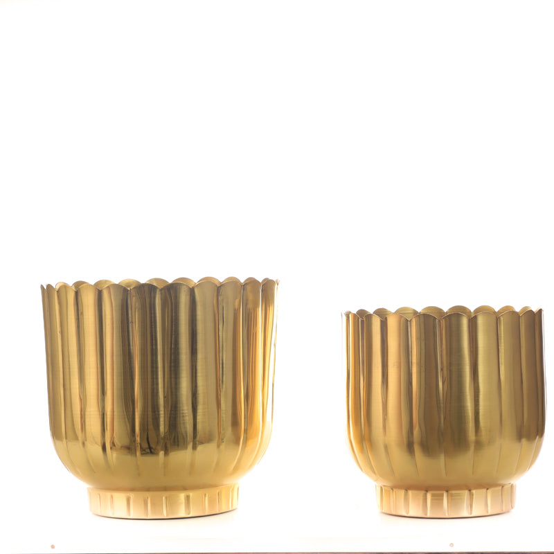 Buy Cosie Coral Planter (Gold) - Set Of Two Pots & Planters from Vaaree