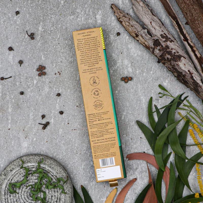 Buy Phool Natural Incense Sticks (Eucalyptus) - Set Of Forty Incense Sticks & Cones from Vaaree