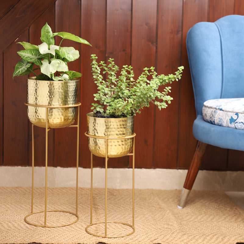 Buy Milara Allure Hammered Planter (Gold) - Set Of Two Pots & Planters from Vaaree