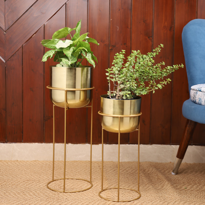 Buy Milara Allure Planter (Gold) - Set Of Two Pots & Planters from Vaaree