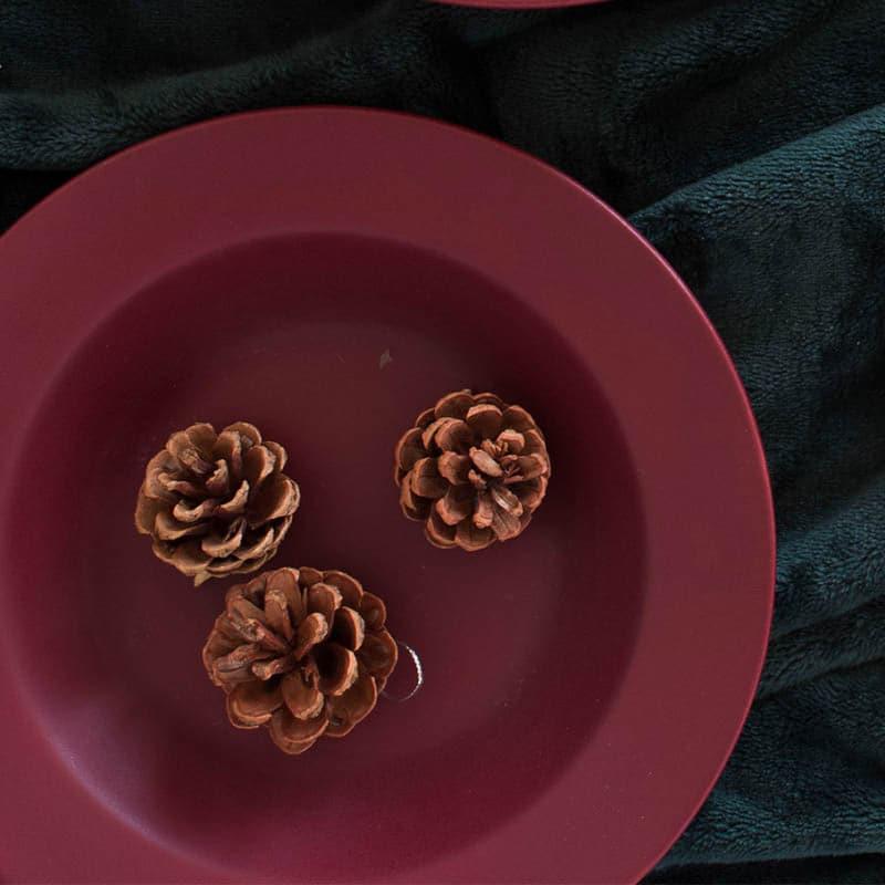 Pasta Plate - Rubeena Maroon Pasta Plate - Set Of Two