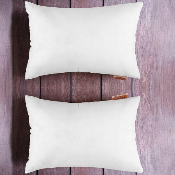 Buy Dana Cozy Pillow - Set Of Two Pillow Fillers from Vaaree