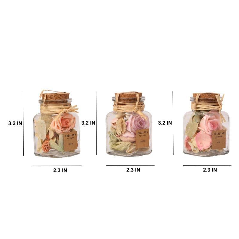 Buy Konerie Potpourri With Glass Jar - Set Of Three Potpourri from Vaaree