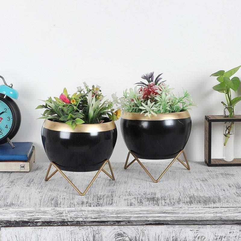 Buy Apple Dun Planter (Black) - Set Of Two Pots & Planters from Vaaree