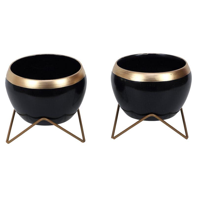 Buy Apple Dun Planter (Black) - Set Of Two Pots & Planters from Vaaree