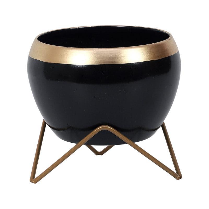 Buy Apple Dun Planter (Black) - Set Of Two Pots & Planters from Vaaree