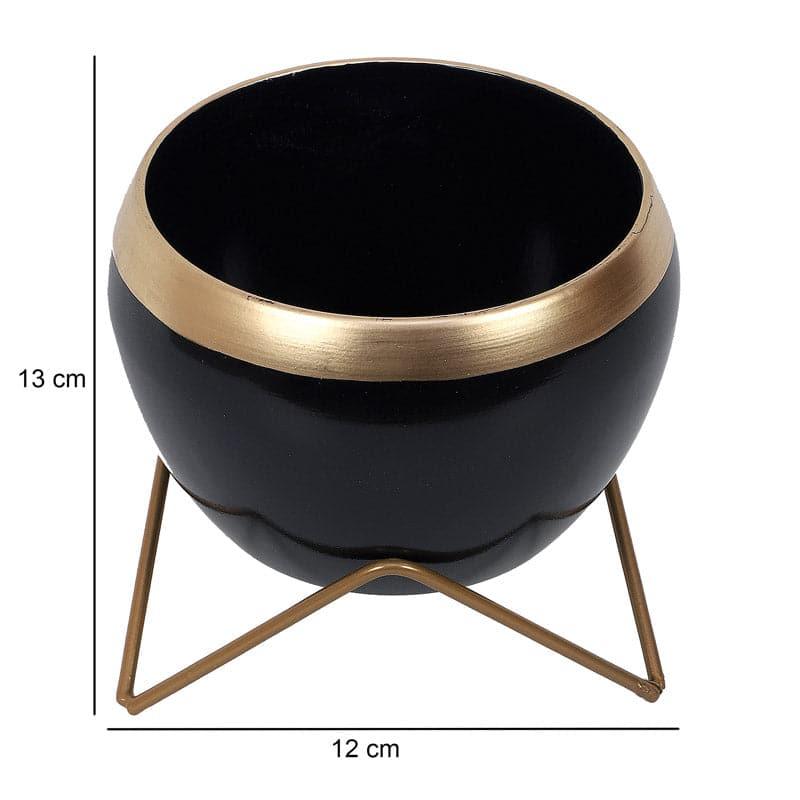 Buy Apple Dun Planter (Black) - Set Of Two Pots & Planters from Vaaree