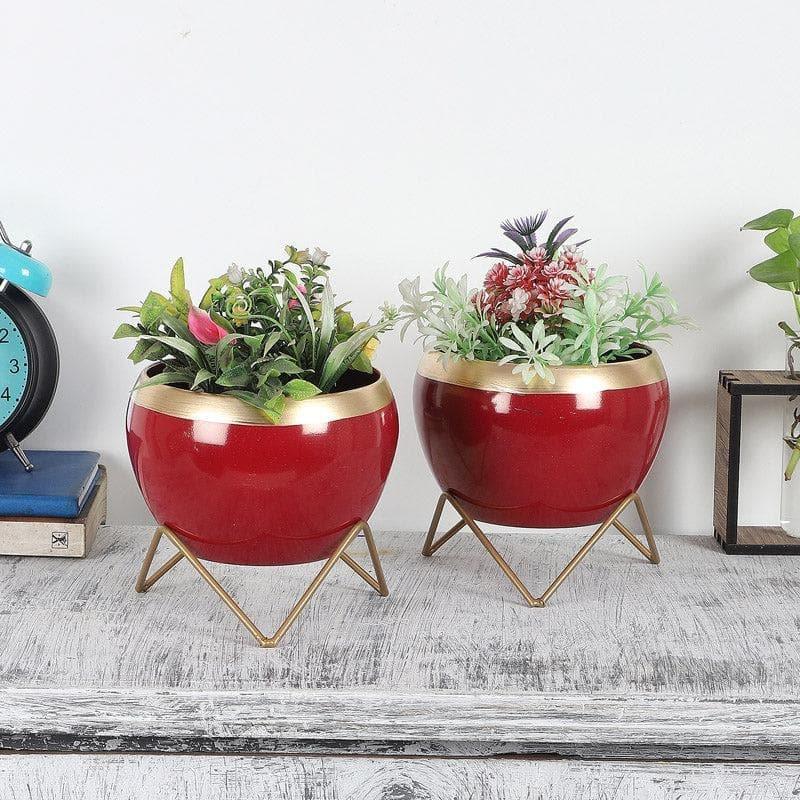 Buy Apple Dun Planter (Red) - Set Of Two Pots & Planters from Vaaree