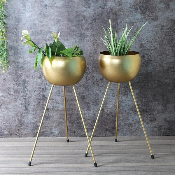 Buy Apple Plus Floor Planter - Set Of Two Pots & Planters from Vaaree