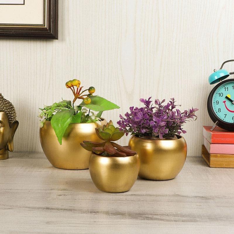 Buy Applo Pine Planter (Gold) - Set Of Three Pots & Planters from Vaaree