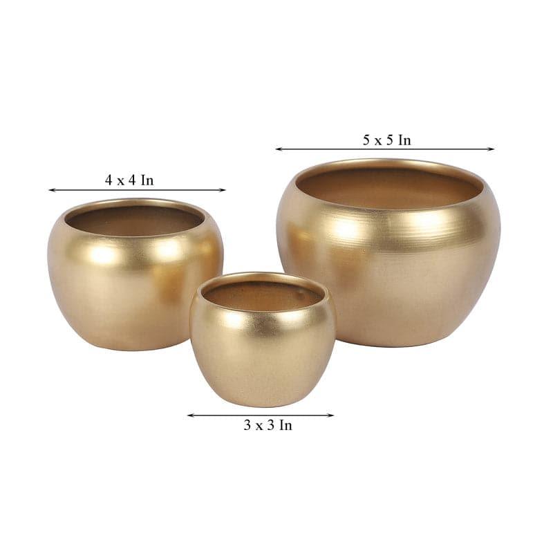 Buy Applo Pine Planter (Gold) - Set Of Three Pots & Planters from Vaaree