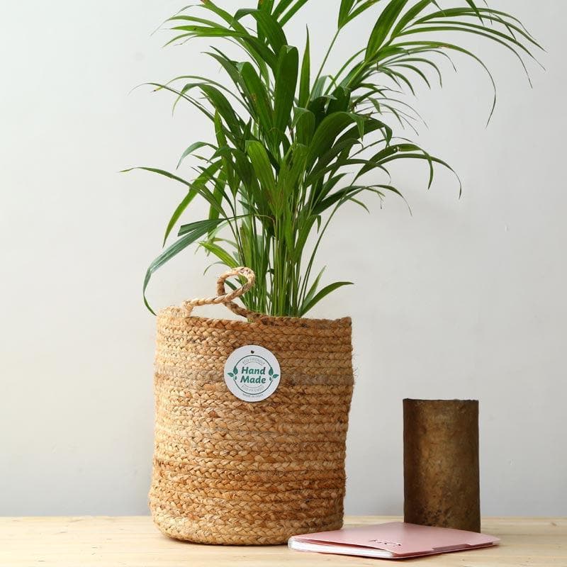 Buy Artistic Jute Planter Pots & Planters from Vaaree