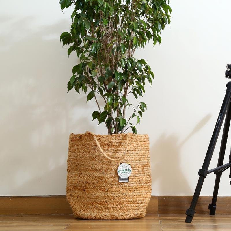 Buy Artistic Jute Planter Pots & Planters from Vaaree