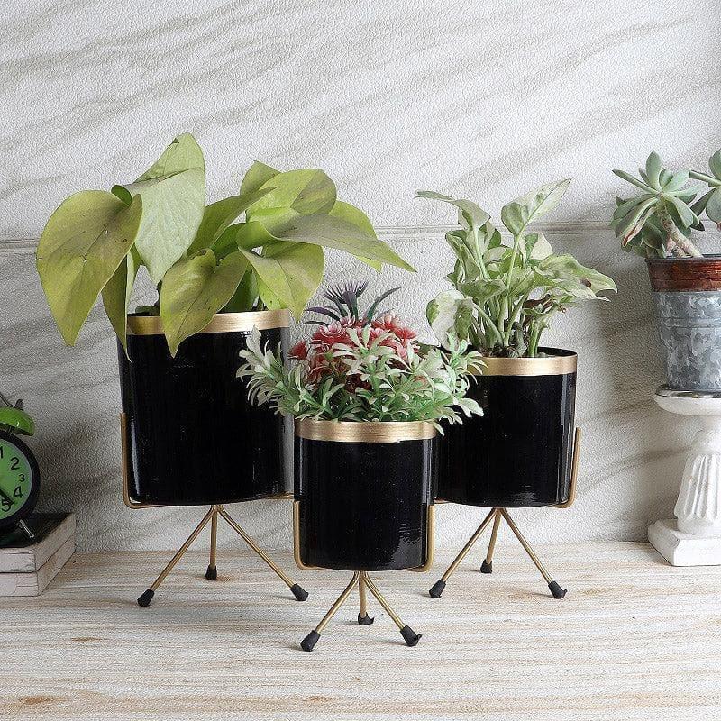 Buy Aslana Kina Planter (Black) - Set Of Three Pots & Planters from Vaaree