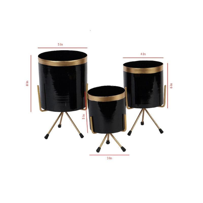 Buy Aslana Kina Planter (Black) - Set Of Three Pots & Planters from Vaaree