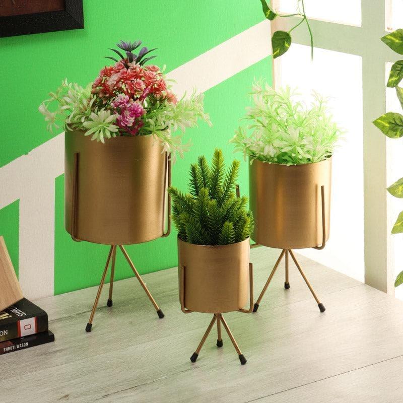 Buy Aslana Kina Planter (Gold) - Set Of Three Pots & Planters from Vaaree