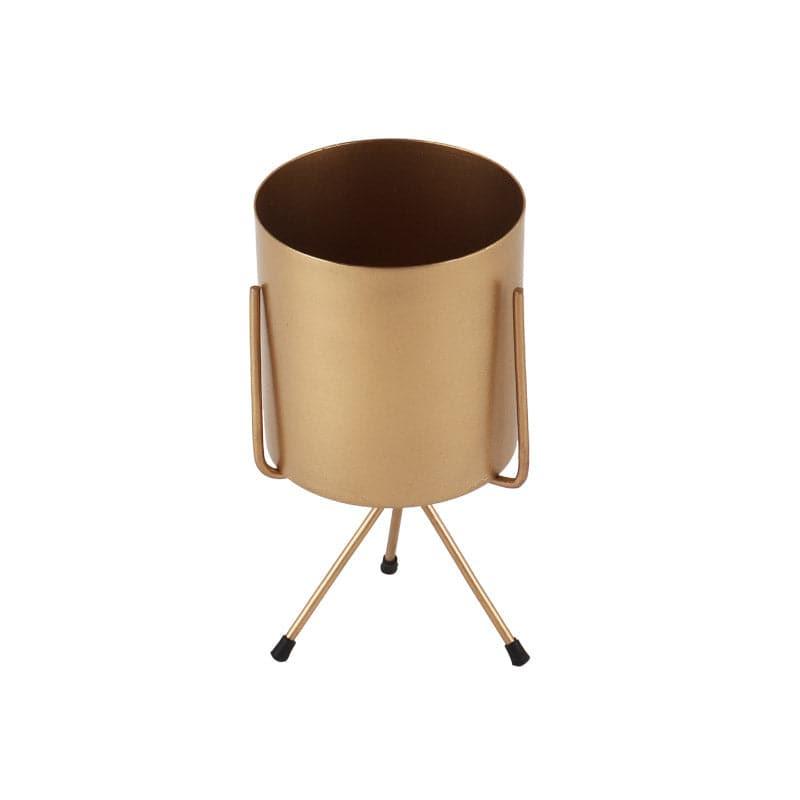 Buy Aslana Kina Planter (Gold) - Set Of Three Pots & Planters from Vaaree