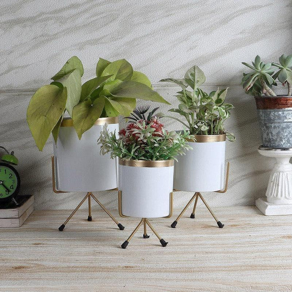 Buy Aslana Kina Planter (White) - Set Of Three Pots & Planters from Vaaree