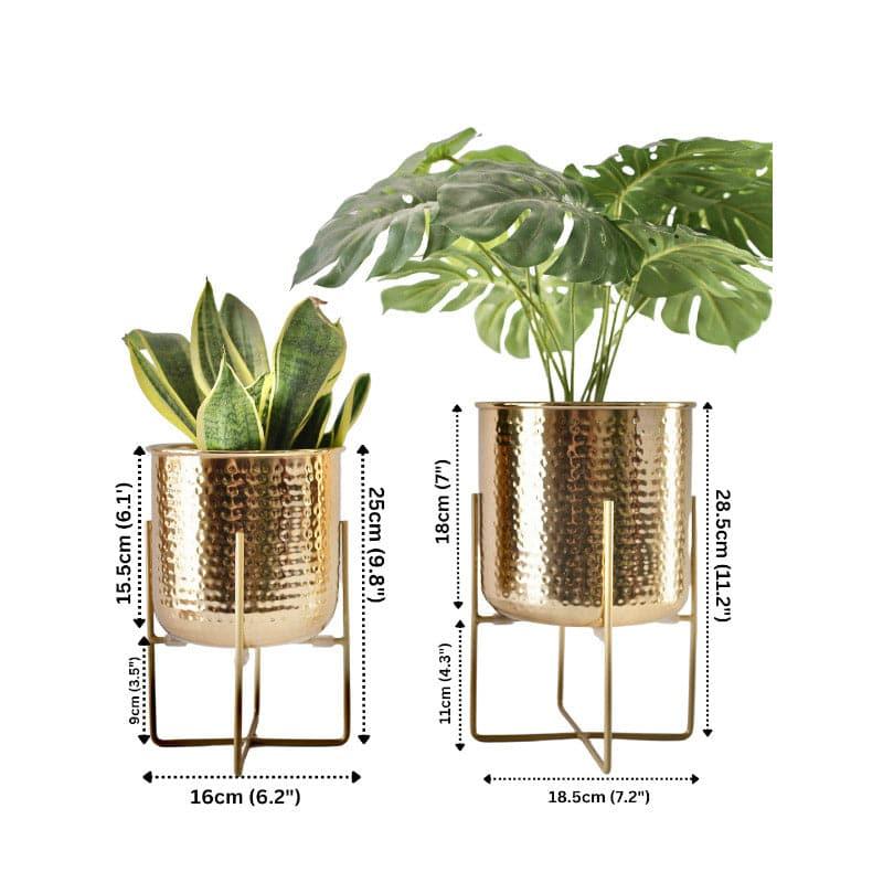 Buy Baela Metal Planter - Set Of Two Pots & Planters from Vaaree