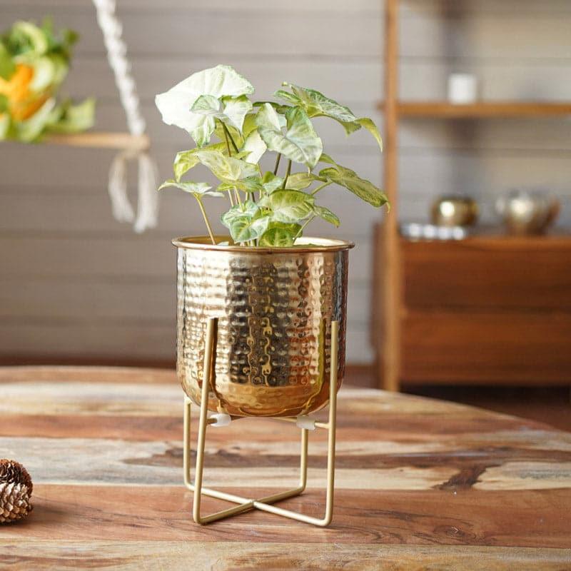 Buy Baela Metal Planter - Small Pots & Planters from Vaaree