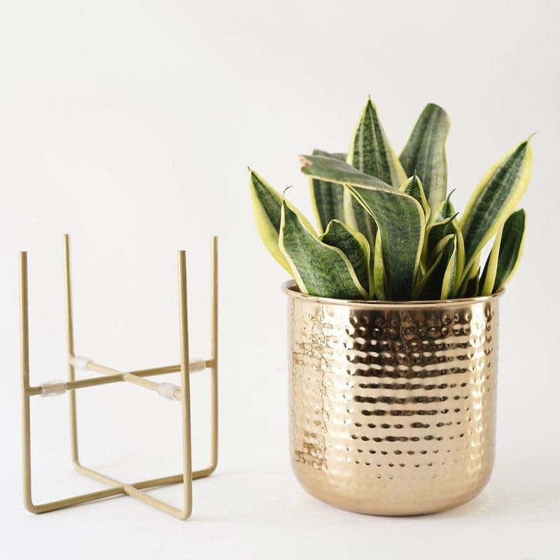 Buy Baela Metal Planter - Small Pots & Planters from Vaaree