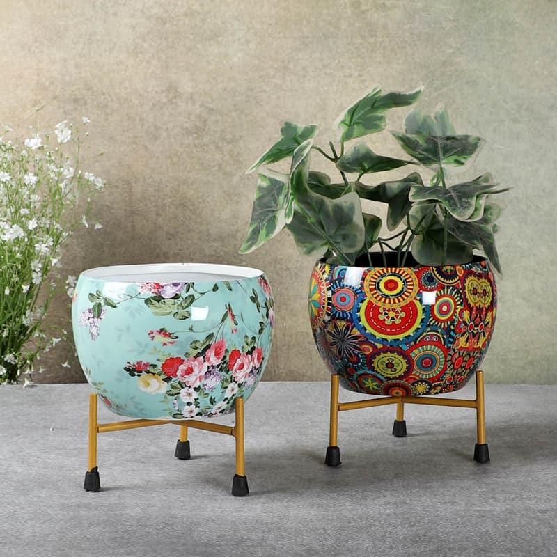 Buy Bloom Blush Planter - Set Of Two Pots & Planters from Vaaree