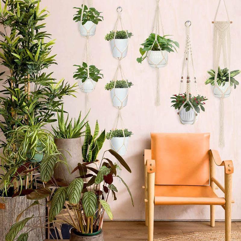 Pots & Planters - Boho Macrame Plant Hangers - Set Of Five