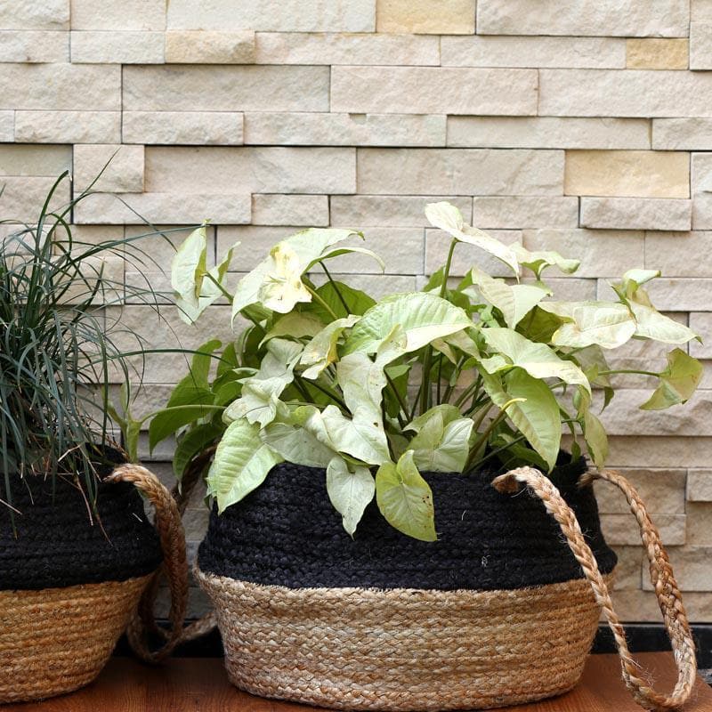 Buy Botanical Garden Jute Planter Pots & Planters from Vaaree