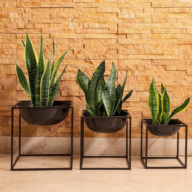 Buy Bowlish Metal Planter (Black) - Set Of Three Pots & Planters from Vaaree