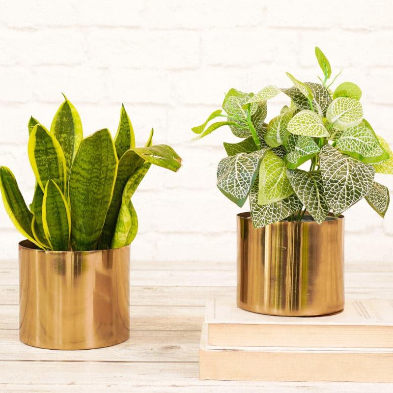 Buy Brida Metal Planter - Set Of Two Pots & Planters from Vaaree