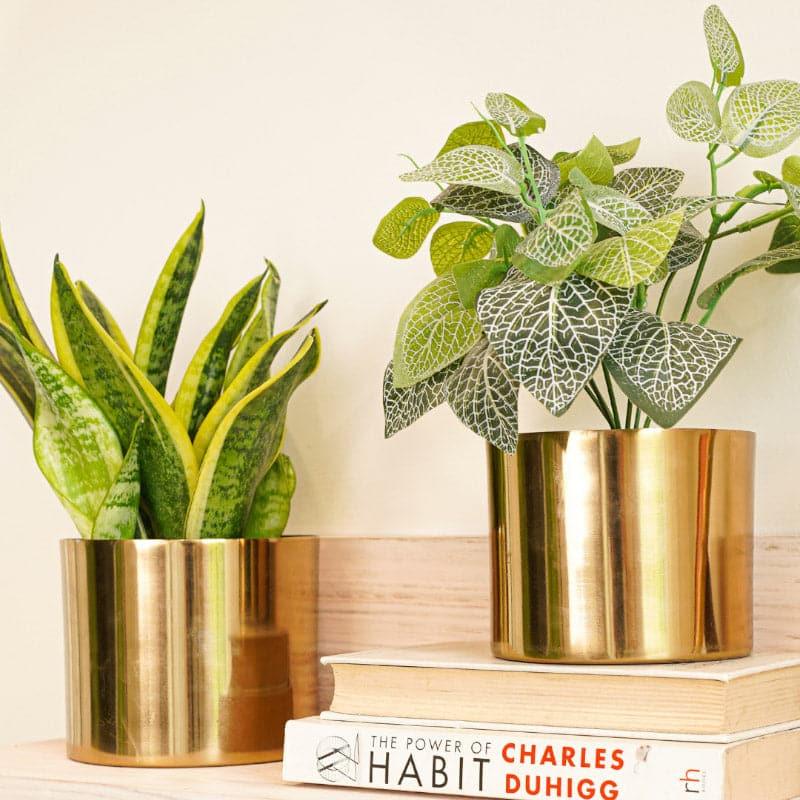 Buy Brida Metal Planter - Set Of Two Pots & Planters from Vaaree