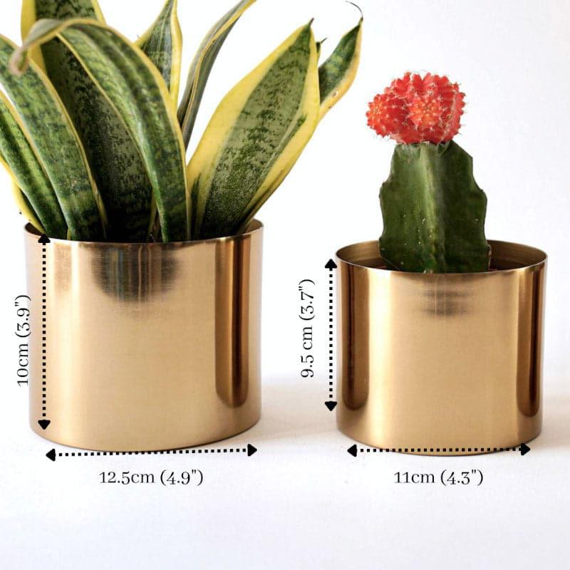 Buy Brida Metal Planter - Set Of Two Pots & Planters from Vaaree