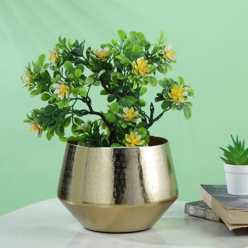 Buy Bruda Metal Planter Pots & Planters from Vaaree