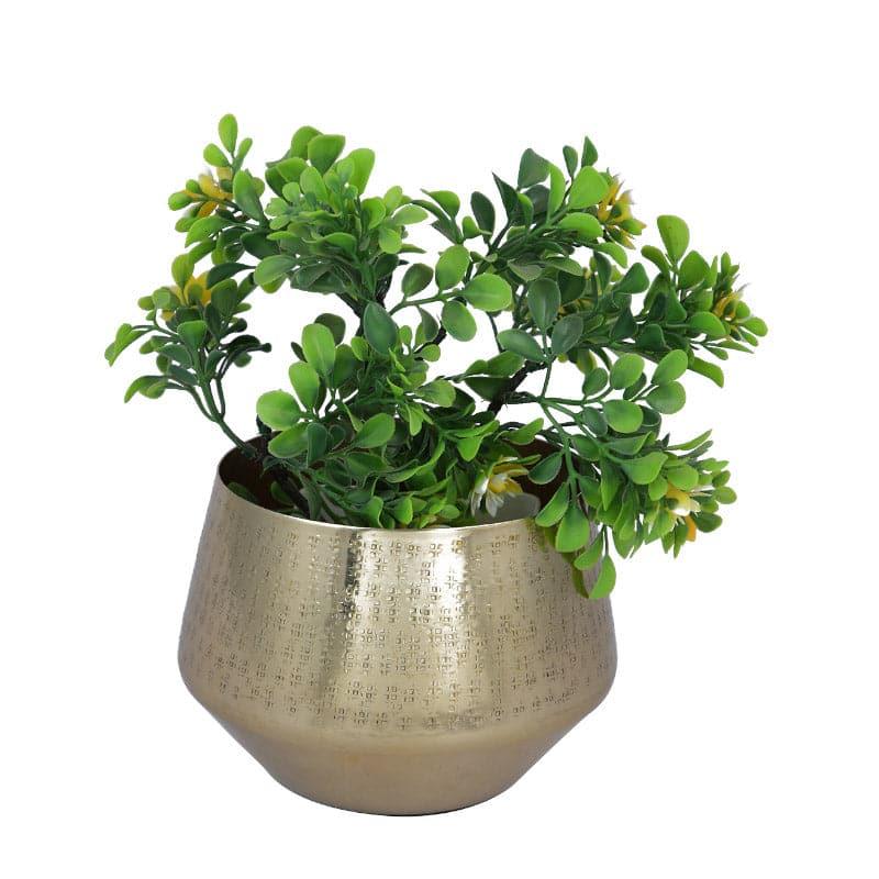 Buy Bruda Metal Planter Pots & Planters from Vaaree