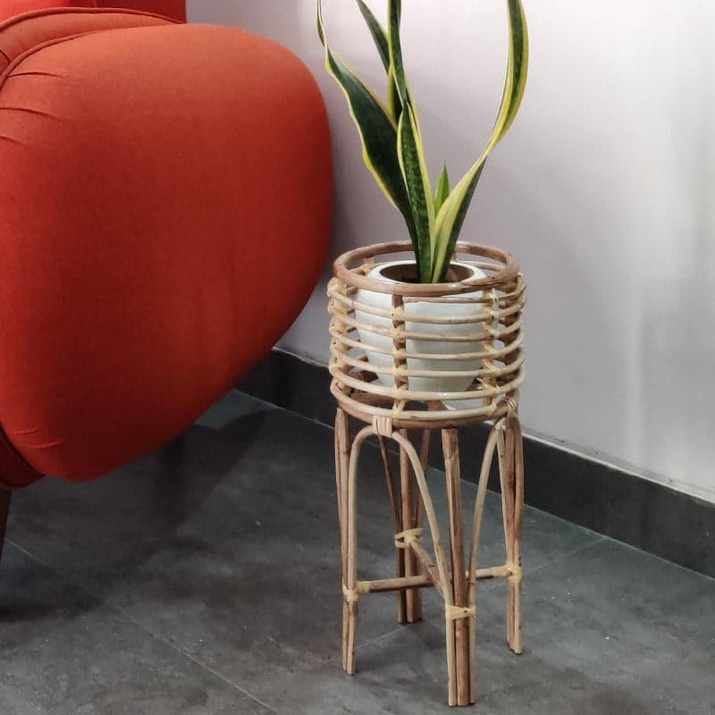 Buy Cameron Floor Planter Pots & Planters from Vaaree